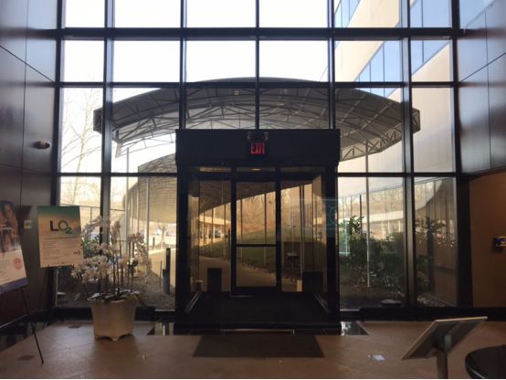 我去美国冻卵的亲身体验（终篇）