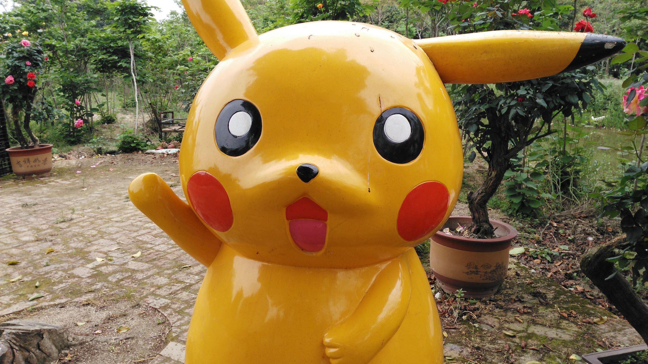 从化宝趣玫瑰世界,广州从化宝趣玫瑰基地