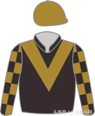 “吉祥如意”当选2017赛季玉龙马会年度马王:“赛事五魁”出炉