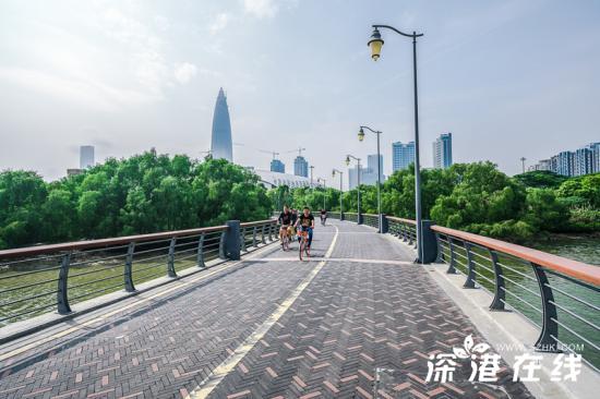 深圳湾公园有什么好玩的地方,深圳湾公园好玩的地方有哪些