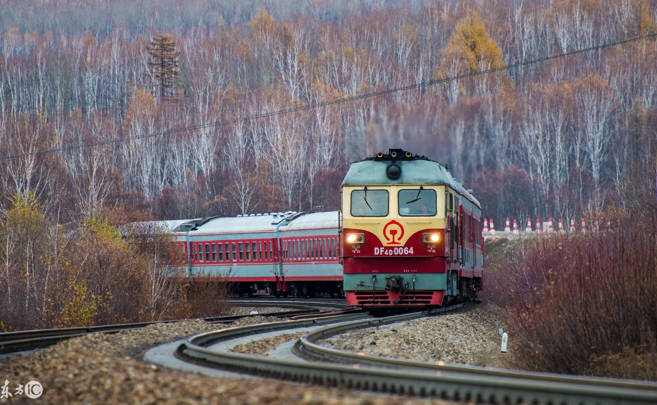 一分钟了解10个冷知识,3分钟带你领略不一样的冷知识