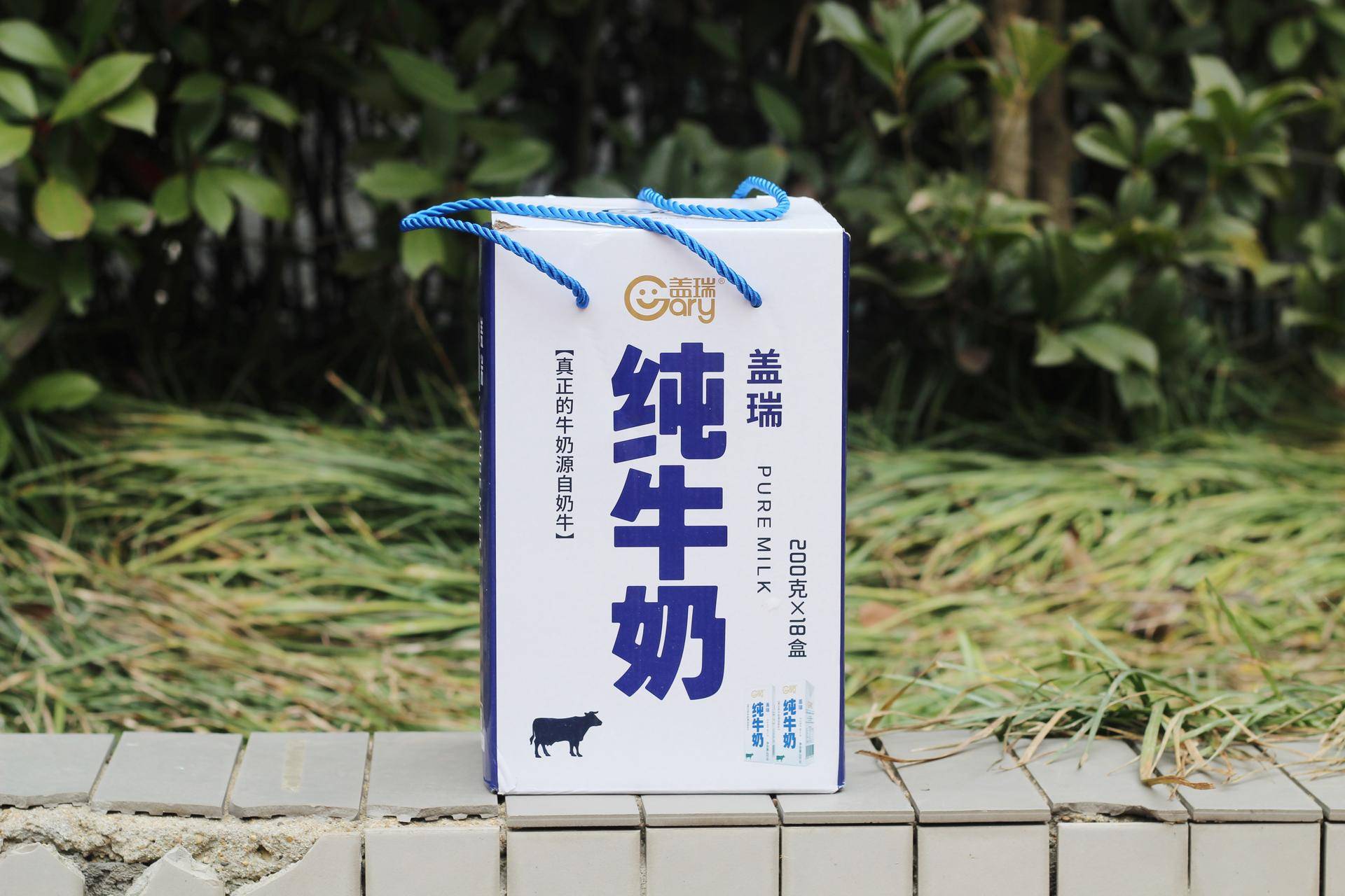 盖瑞新疆纯牛奶,盖瑞纯牛奶品种