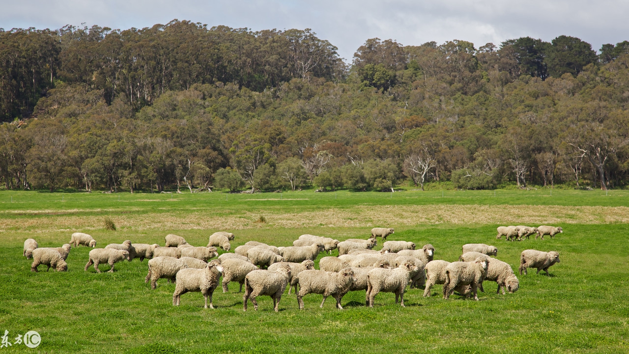 在农村怎样才可以赚到钱?新的一年想发家致富?这些会帮到你!