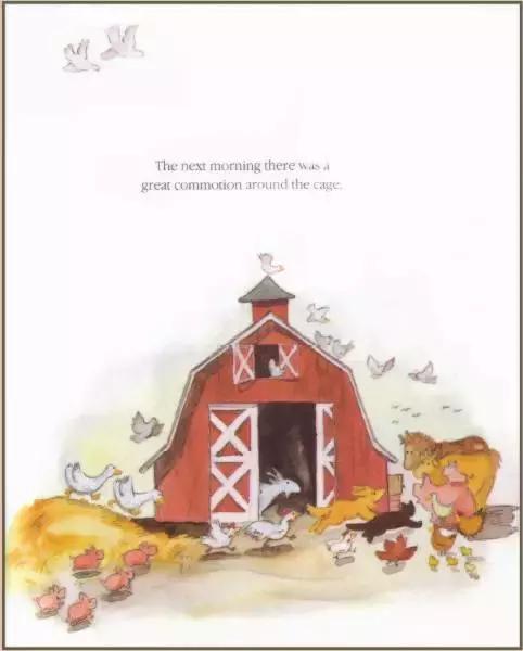 英语绘本故事｜BunnyTrouble惹麻烦的小兔子