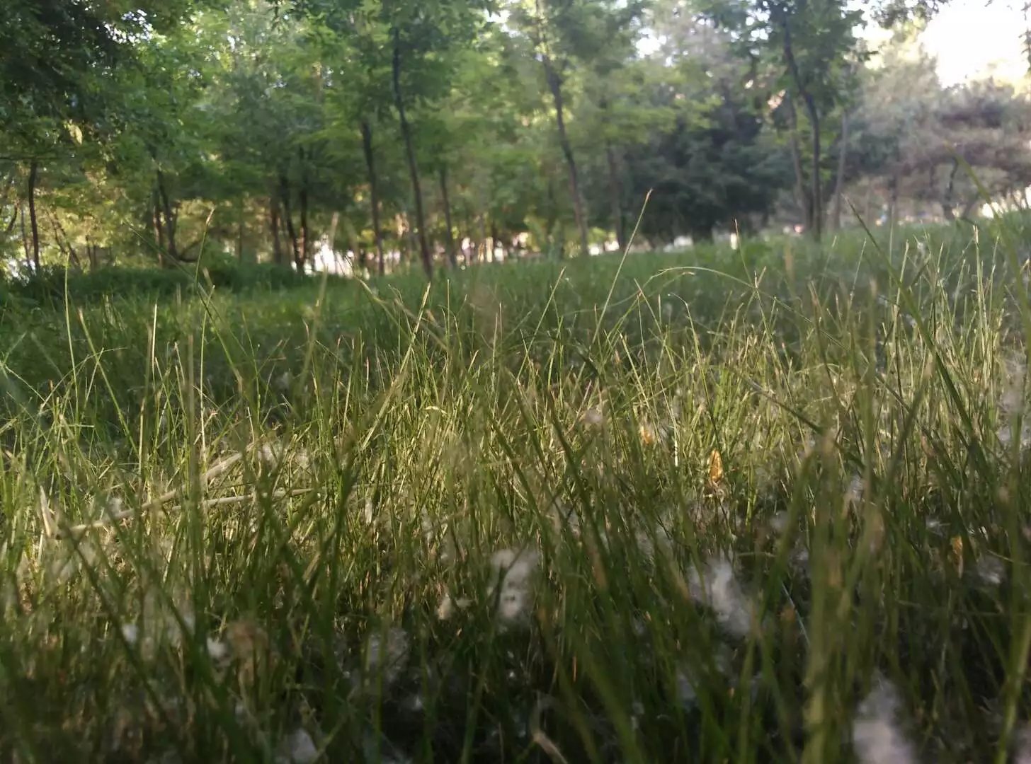 河套学院对巴彦淖尔有什么意义,河套学院巴彦淖尔