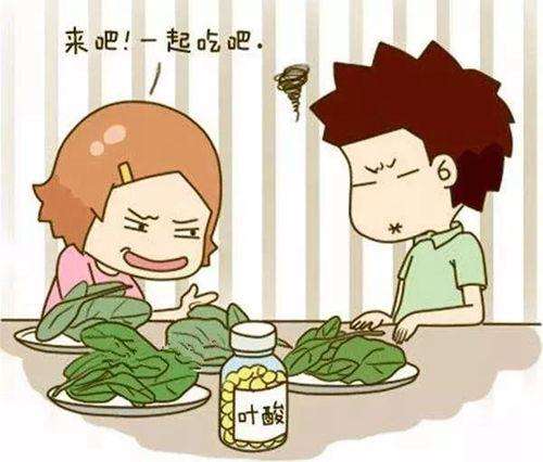 孕前补叶酸要补到什么时候,叶酸是孕前什么时间段吃最好