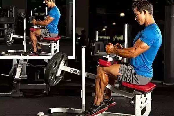 为什么小腿肌肉越来越明显,小腿肌肉为什么那么少