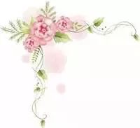 新春走乡村见闻,新春走基层圩日见闻之高村