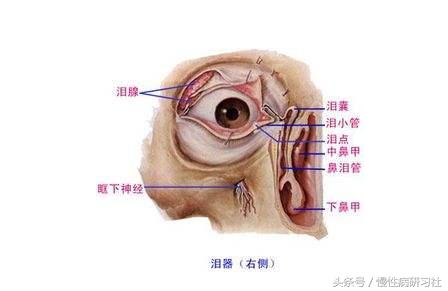 眼角有个针眼大的小孔怎么回事,眼角有一个小孔怎么治疗