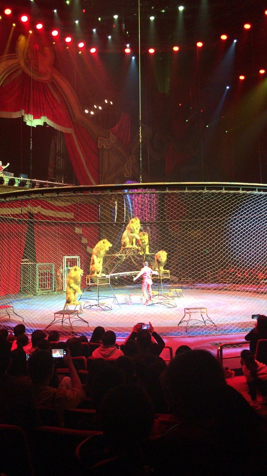 两天一晚珠海长隆旅游攻略,珠海长隆旅行一日游需要准备什么