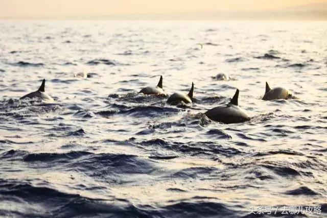 免签国家一览表最新,2023最新免签国家