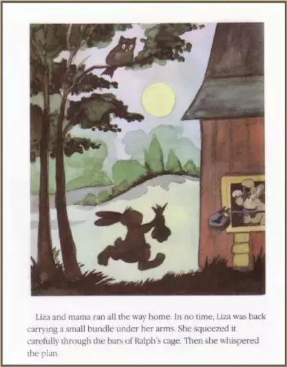 英语绘本故事｜BunnyTrouble惹麻烦的小兔子