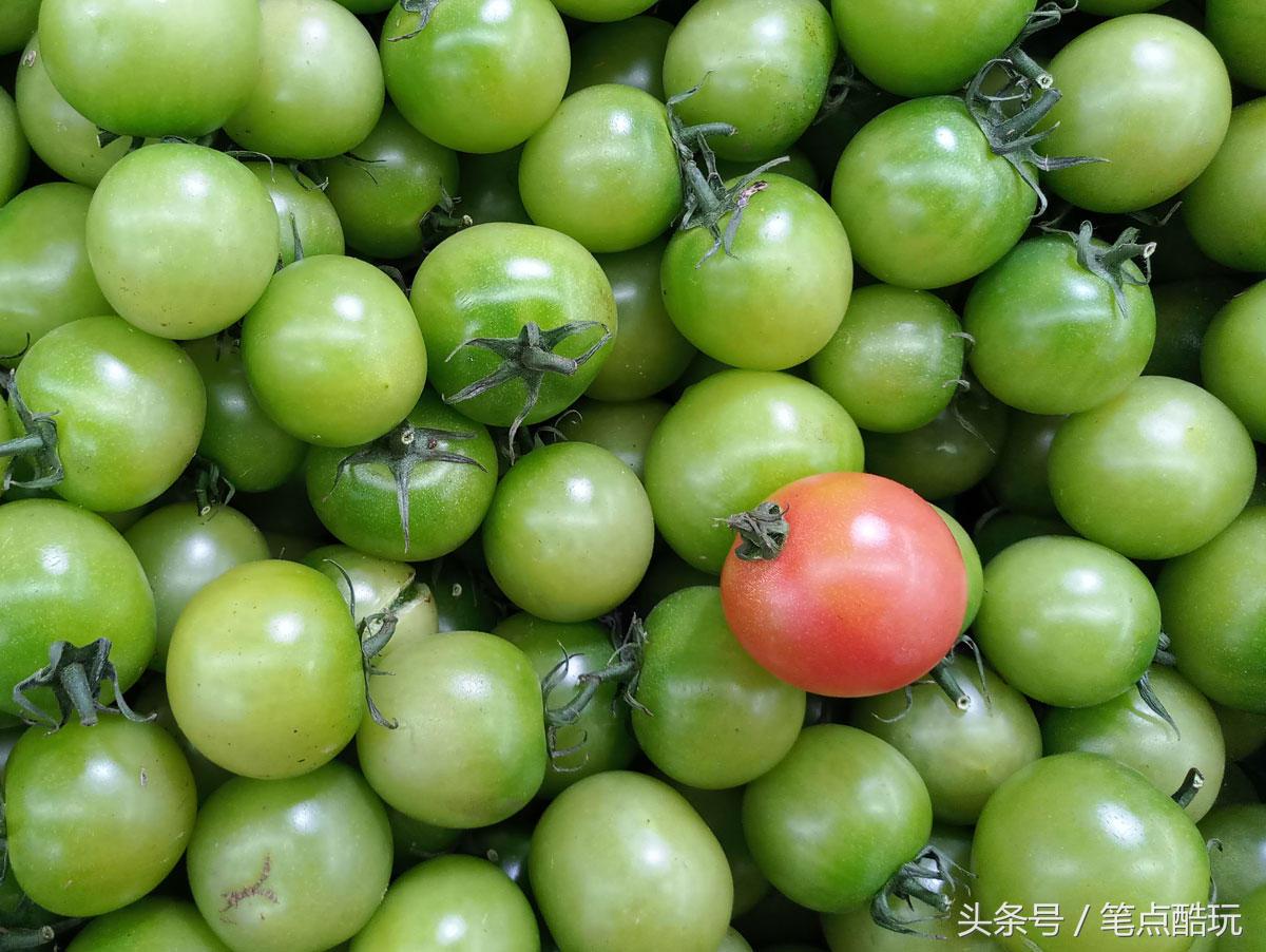 二手魅族pro6s评测,魅族拍照旗舰pro6s