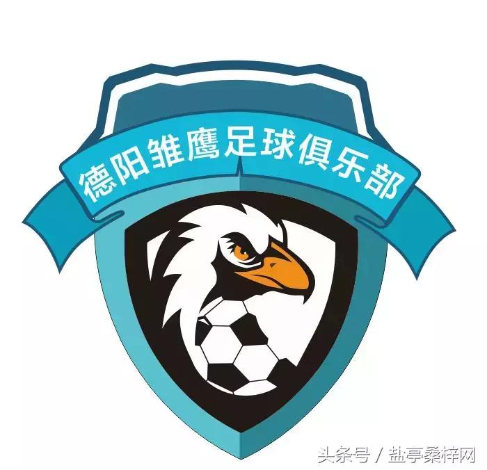 嫘祖球赛,绵阳盐亭嫘祖青少年足球