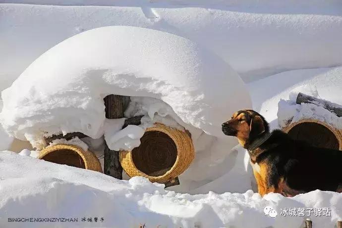 雪乡农家院,雪乡阁楼民宿