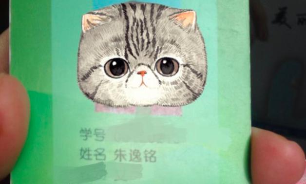 中国人都起什么名字,中国人一般起什么名字