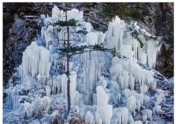大连春节期间旅游攻略大全最新,大连春节假期攻略
