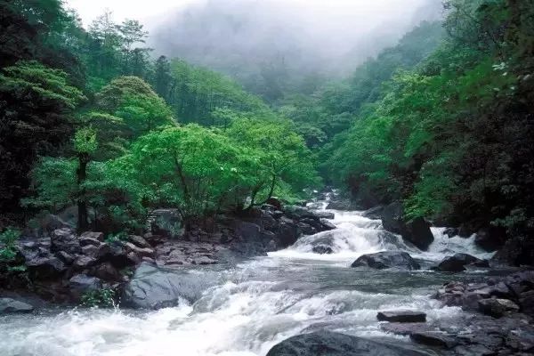 浙江安吉号称第一竹乡吗,安吉联合国最宜居城市