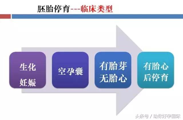 助你好孕的方法,助你恢复好孕