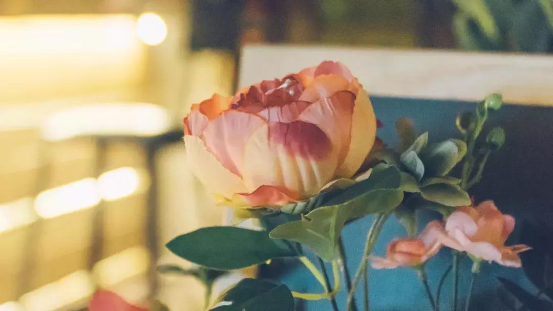 呼和浩特摩尔城c位,呼和浩特摩尔城c座