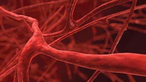 血管的清洁工是啥,血管清洁工