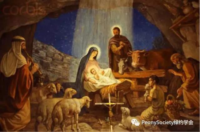 升级版乳香精油,千年乳香精油