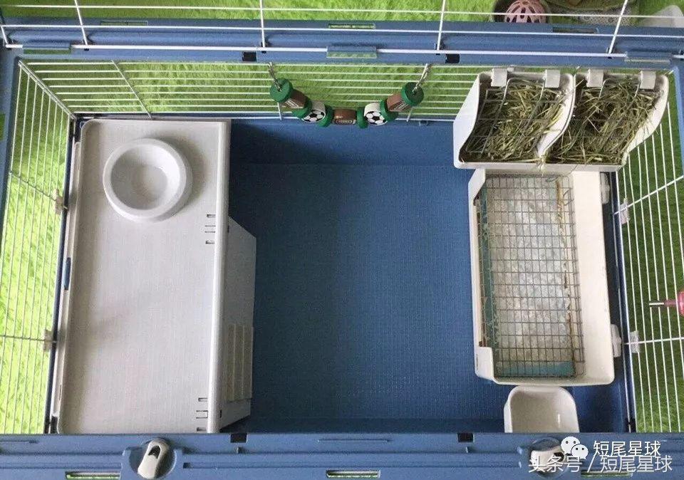 兔笼子哪一款最好,兔兔适合什么兔笼