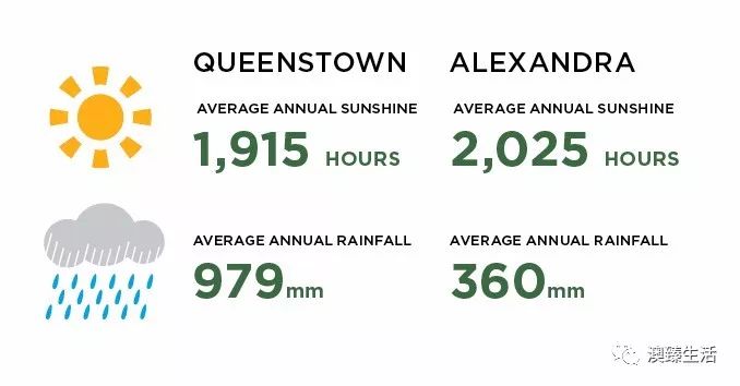 闲话新西兰葡萄酒