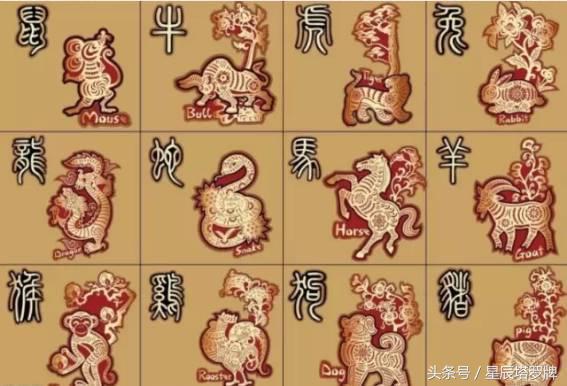 你属什么决定你是什么命,你属什么代表你的命