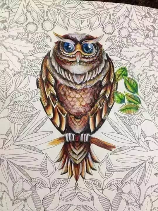 每个人都有属于自己的自传,每一个人都有一本书籍