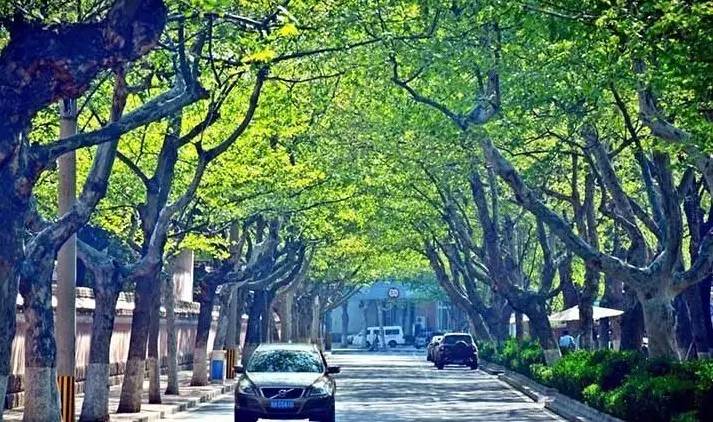 这家酒店复古而优雅,这家酒店科技感满满