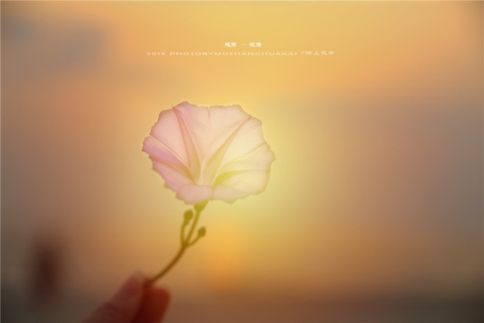 ◆周末度假去哪儿◆——在越南岘港逛吃逛吃