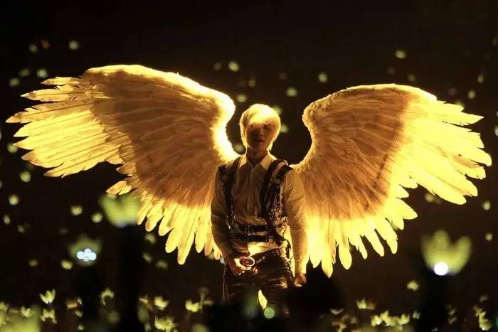 金牛座和维纳斯,维纳斯金牛座