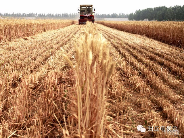这儿是荥阳,这儿是许昌