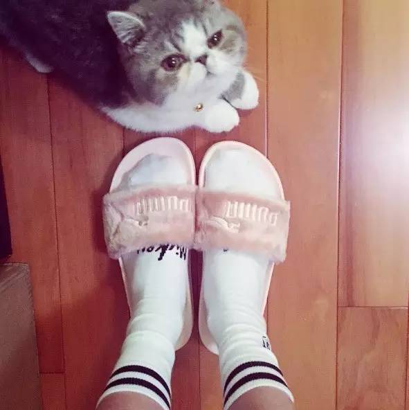 adidasyeezydesertboost侃爷上脚,adidas上的侃爷