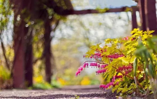 这儿是荥阳,这儿是许昌