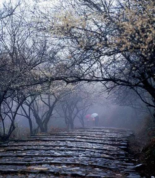 据说，江西人有了这条微信，就可以在韶关打开“仙境之门”！