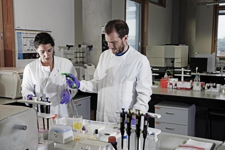 早点怎么做才能赚钱,英超董方卓最新消息