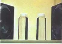 一个姿势一个睡姿让人变瘦,一个姿势让你自信