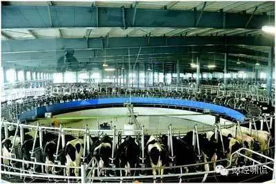 中鼎牧业最新的消息,中鼎牧业目标价