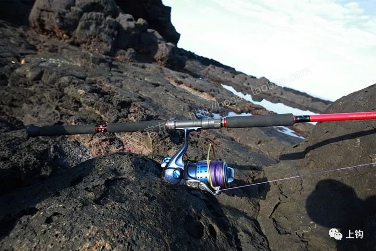 矶钓海钓诱饵笼的用法大全,冬季海钓矶钓用什么假饵最好用