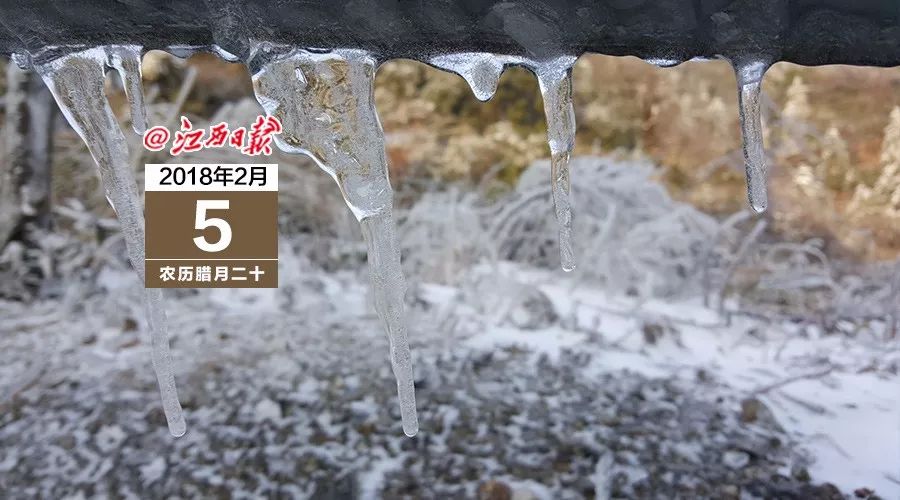 早安地球村最新政策,早安地球完整版