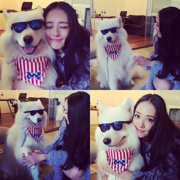 毕竟爱狗|哈哈哈哈哈哈……听说你们要买狗年单品?我就真的不拦了!