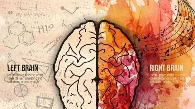 你真的了解自己的大脑,你的大脑到底在经历些什么