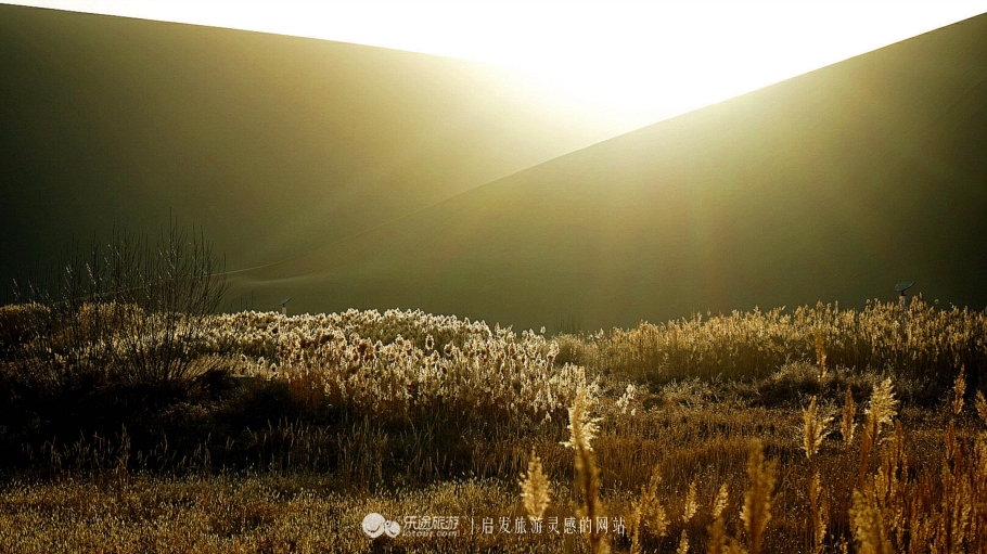 敦煌美食之大漠风情宴,舌尖上的敦煌