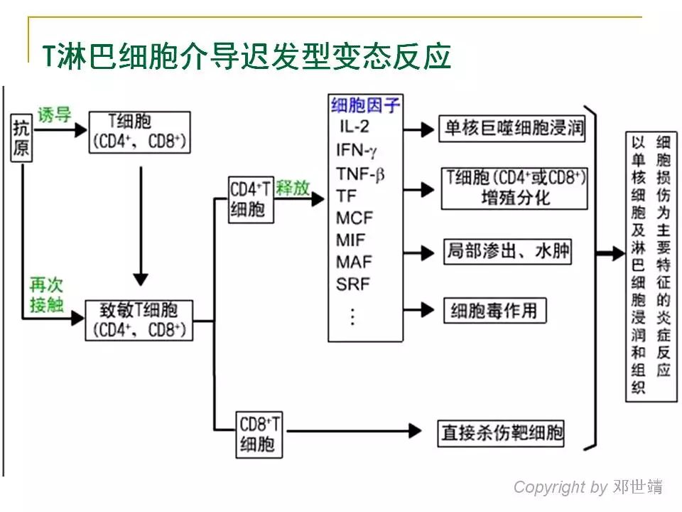 眼周过敏中医治疗,眼周过敏的症状图片