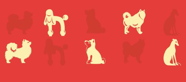 新年新气象新款,新年新潮限量款