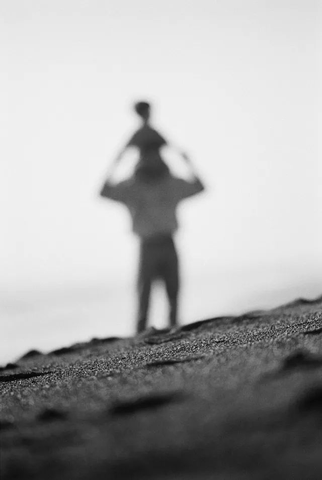 贾平凹对话贾浅浅,贾平凹访谈