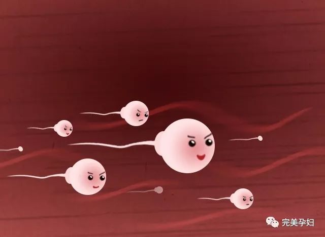 你这个小兔崽子用日语怎么说,你这个小兔崽子用英文怎么说