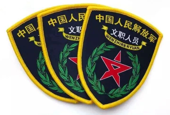 军改文职人员最新规定,军改文职最新政策